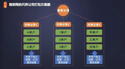 農信互聯(lián)與紅明彪集團合作 手機軟件設計與開發(fā)引領創(chuàng)新發(fā)展新模式